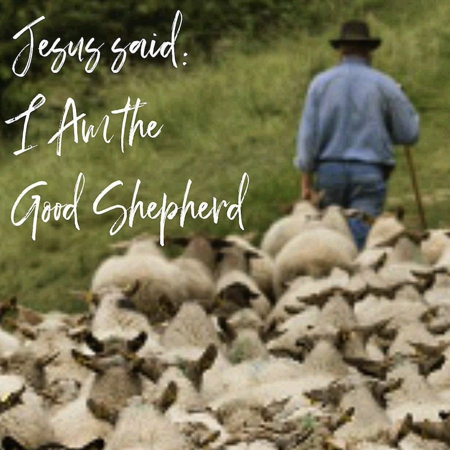LENT 2023 - Jesus Said: I Am The Good Shepherd, Part II